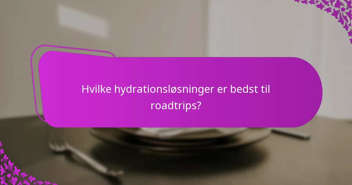 Hvilke hydrationsløsninger er bedst til roadtrips?