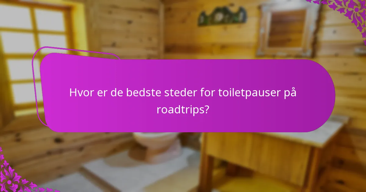 Hvor er de bedste steder for toiletpauser på roadtrips?