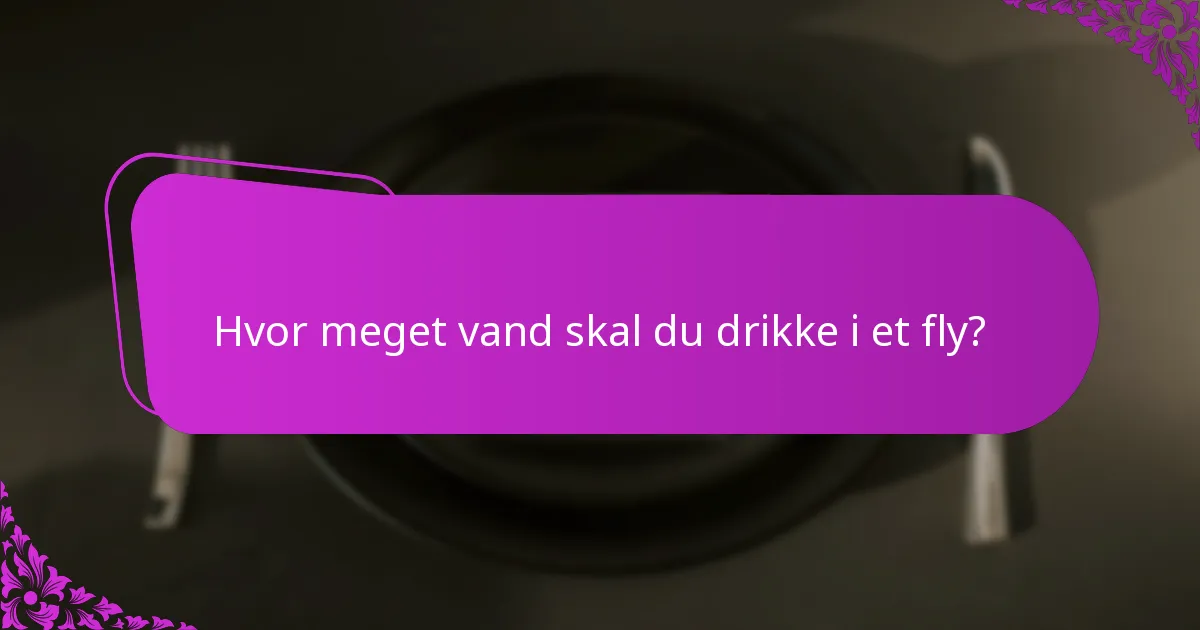 Hvor meget vand skal du drikke i et fly?